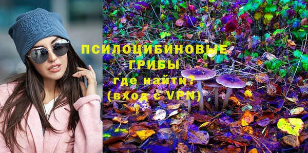 ешки Алзамай