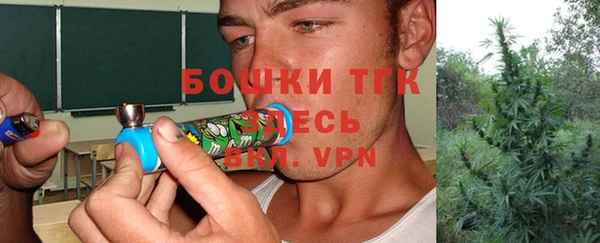 мдпв Алексин