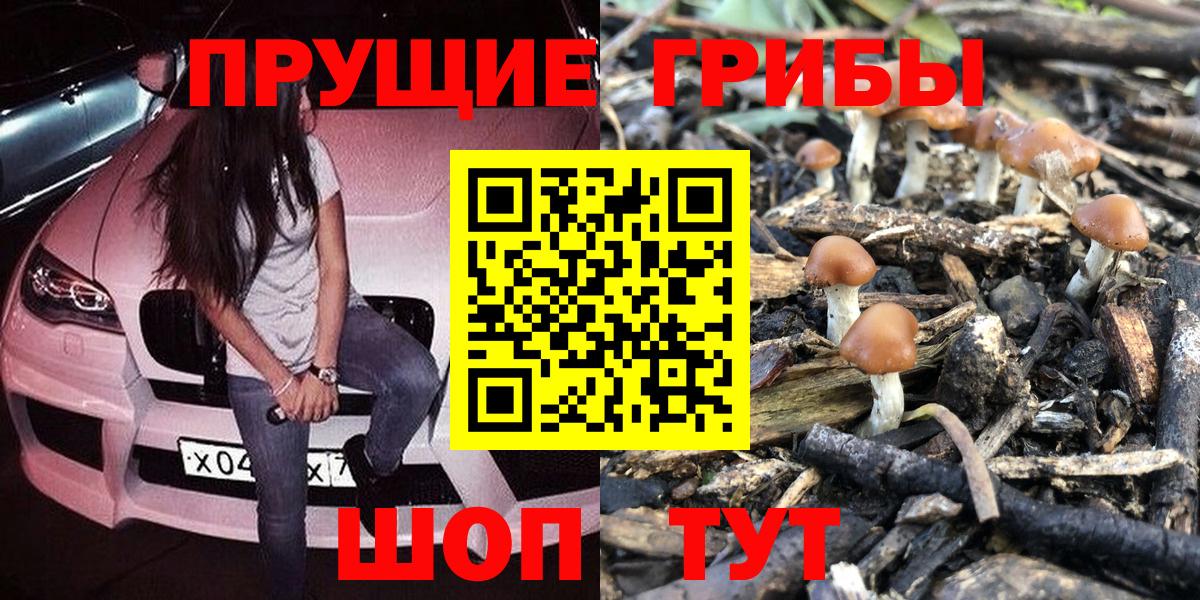 Галлюциногенные грибы прущие грибы Симферополь