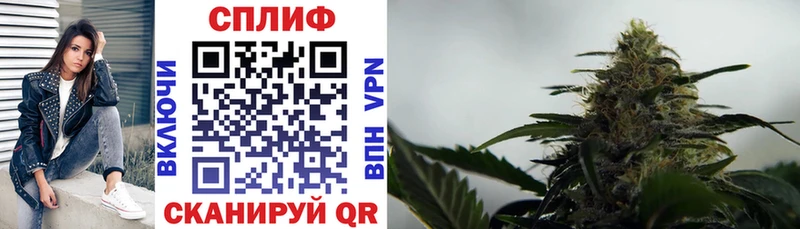 Канабис сатива  сколько стоит  Симферополь 